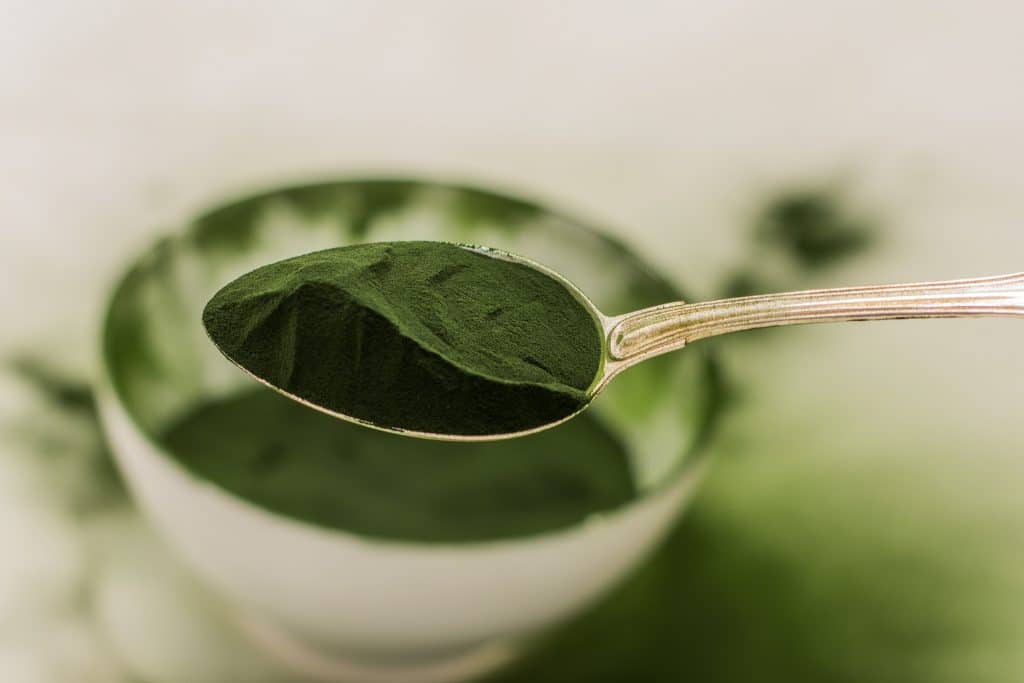 La Chlorella ayuda a la eliminación del mercurio del organismo